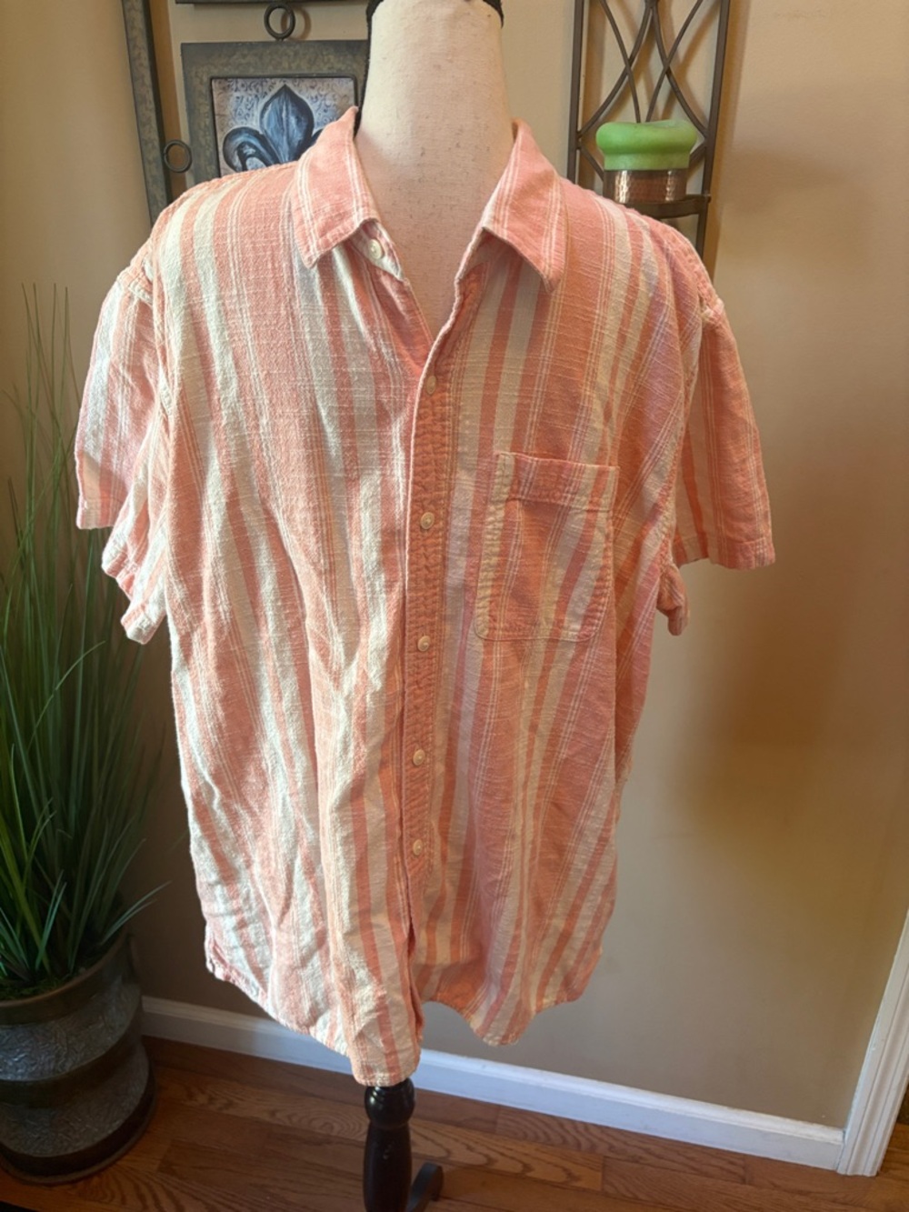 American Eagle Outfitters Peach and Cream Striped Short-Sleeve Button-Up Shirt
